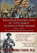 Forgotten Contributions of Little Africa Soldiers at Fort Wagner