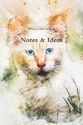 Notes & Ideas