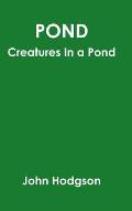Pond: Creatures In A Pond