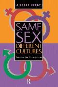 Same Sex, Different Cultures: Exploring Gay And Lesbian Lives