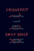 Friendship A Novel