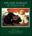 Upland Passage A Field Dogs Education