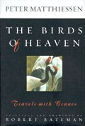 Birds Of Heaven Travels With Cranes