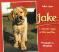Jake A Labrador Puppy At Work & Play