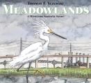 Meadowlands A Wetlands Survival Story