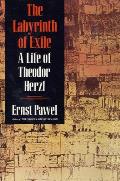 Labyrinth of Exile A Life of Theodor Herzl
