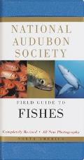 National Audubon Society Field Guide to North American Fishes