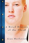 Brief History Of The Flood Stories