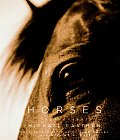 Horses Photographs
