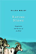 Eating Stone Imagination & The Loss Of