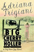 Big Cherry Holler A Big Stone Gap Novel