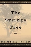 Syringa Tree
