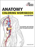 Anatomy Coloring Workbook 2nd Edition