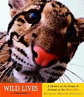 Wild Lives 100 Years Of People & Animals