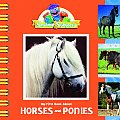 My First Book About Horses & Ponies