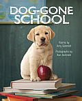Dog Gone School