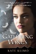 Gathering of Wings Centauriad 2