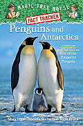Penguins & Antarctica