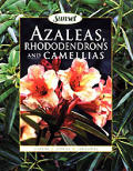 Azaleas Rhododendrons & Camellias