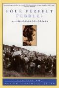 Four Perfect Pebbles A Holocaust Story