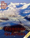 Icebergs & Glaciers Close Up