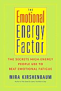 Emotional Energy Factor