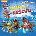 Pups to the Rescue Paw Patrol
