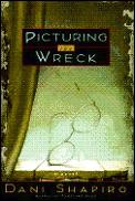 Picturing The Wreck