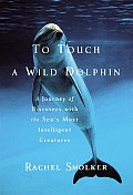To Touch A Wild Dolphin