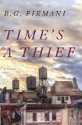 Times a Thief A Novel
