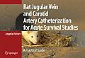 Rat Jugular Vein and Carotid Artery Catheterization for Acute Survival Studies: A Practical Guide