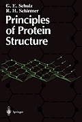 Principles Of Protein Structure