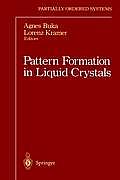 Pattern Formation in Liquid Crystals