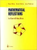 Mathematical Reflections In a Room with Many Mirrors
