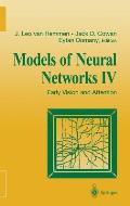 Models of Neural Networks IV: Early Vision and Attention