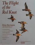 Flight of the Red Knot A Natural History Account of a Small Birds Annual Migration from the Arctic Circle to the Tip of South America & Back