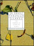 Trail Through Leaves