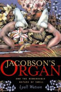 Jacobsons Organ & The Remarkable Nature of Smell