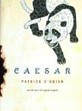 Caesar The Life Story of a Panda Leopard