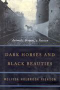 Dark Horses & Black Beauties