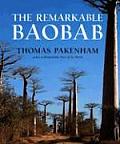 Remarkable Baobab