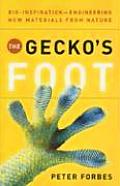Geckos Foot Bio Inspiration Engineering New Materials from Nature