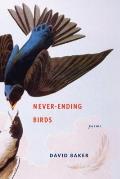 Never Ending Birds