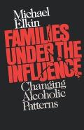Families Under the Influence Changing Alcoholic Patterns