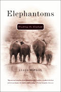 Elephantoms Tracking The Elephant