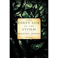 Dirty Side of the Storm