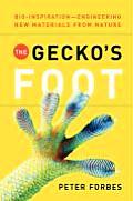 Geckos Foot Bio Inspiration Engineering New Materials from Nature