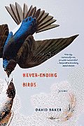 Never Ending Birds Poems