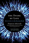 Spark of Life Electricity in the Human Body
