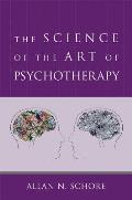 Science Of The Art Of Psychotherapy The Science Of The Art Of Psychotherapy